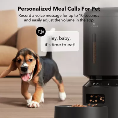 Petsmart dog feeder best sale