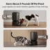 PETLIBRO 5G WiFi Automatic Pet Feeder image thumbnail 6