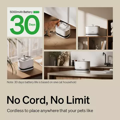 Product PETLIBRO Dockstream Battery-Operated Water Fountain
