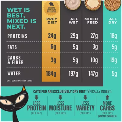 Product Tiki Cat® Solutions™ Adult Cat Food - Skin + Coat, Salmon & Herring Recipe