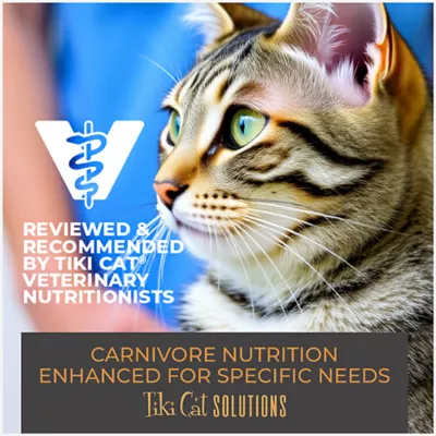 Product Tiki Cat® Solutions™ Mousse Wet Cat Food - Dental, 2.4 Oz
