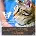 Tiki Cat® Solutions™ Mousse Wet Cat Food - Dental, 2.4 Oz image thumbnail 7