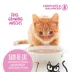 Tiki Cat® Baby™ Mousse Kitten Wet Food - Non-GMO, Grain & Potato Free, 2.4 Oz image thumbnail 5