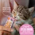 Tiki Cat - Kitten, Baby Stix, Chicken in Creamy Gravy, 42 CT, 11.76 OZ image thumbnail 6