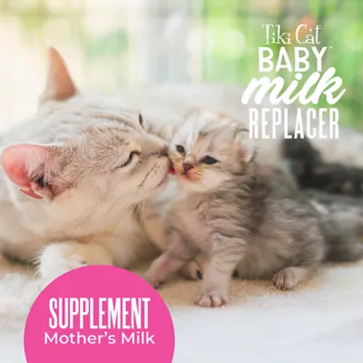 Product Tiki Cat - Kitten, Baby Milk Replacer, Goat's Milk, 6 OZ