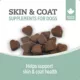 Product Nutrience Care® Skin & Coat Supplement Chews for Dogs - Fish, 100 count