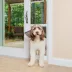 PetSafe® 1Piece Sliding Glass Pet Door Adjustable Height 75 7/8" to 81" image thumbnail 1