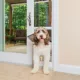 Product PetSafe Sliding Glass Pet Door for Cat and Dogs