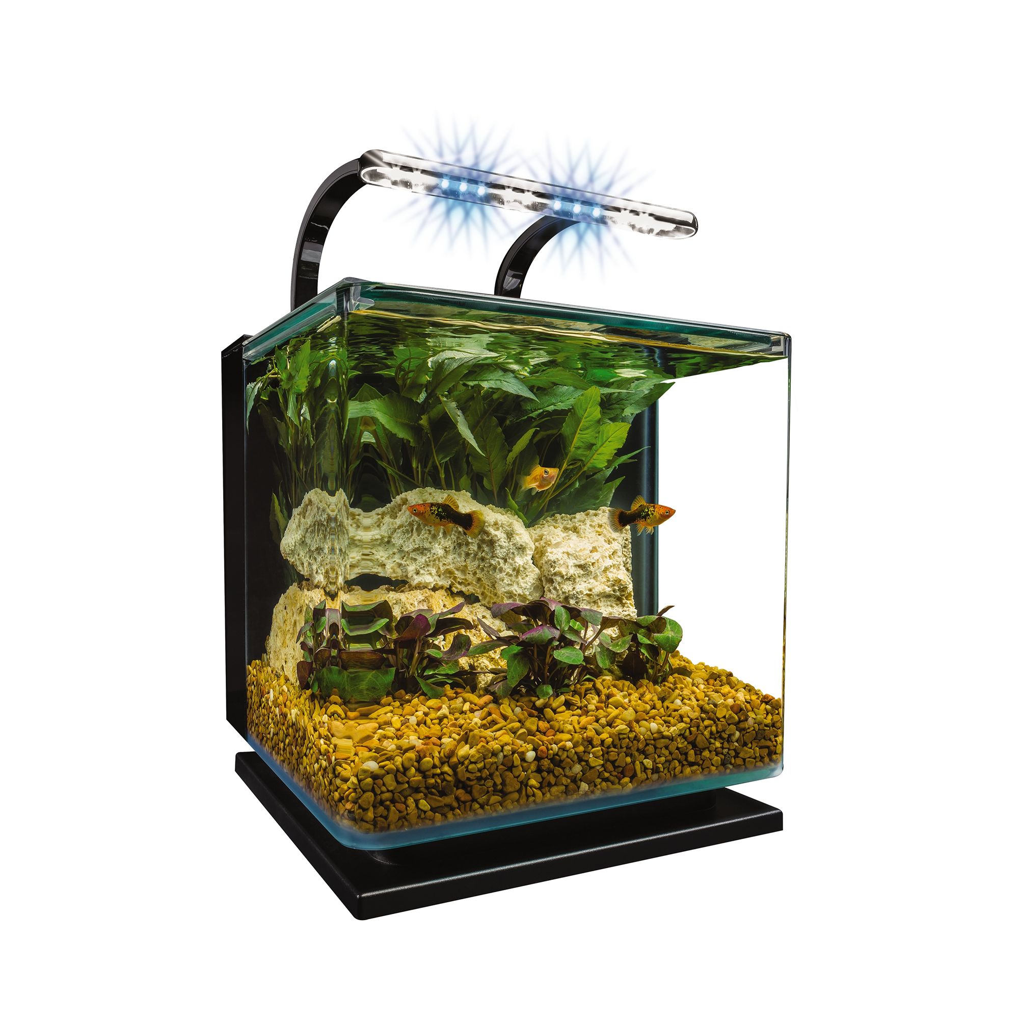 thumbnail image 2 of Marineland Algae Eliminator – 8 Fl Oz, Safe For Plants And Fish (Treats 96 Gallons) 2 of 2