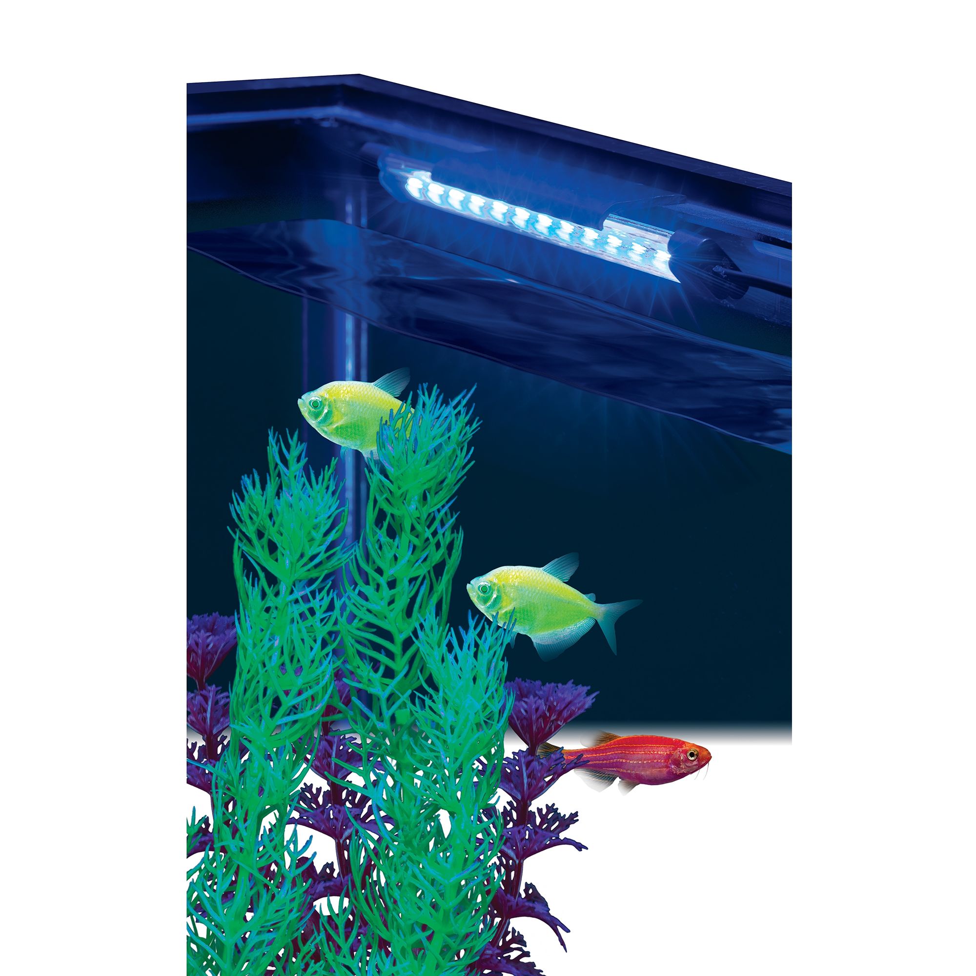 Glofish Blue LED Light 6" for Fish Tanks - thumbnail 4
