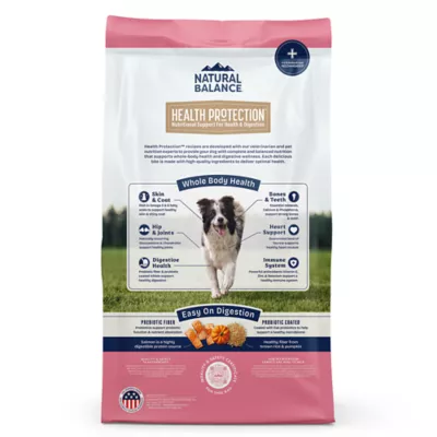 Product Natural Balance Health Protection Adult Dog Dry Food - Salmon, Brown Rice & Pumpkin