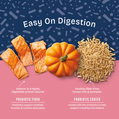 Product Natural Balance Health Protection Adult Dog Dry Food - Salmon, Brown Rice & Pumpkin
