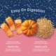 Product Natural Balance Health Protection Adult Dog Dry Food - Salmon, Brown Rice & Pumpkin