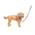 PetSafe® 3 in 1 Harness image thumbnail 1