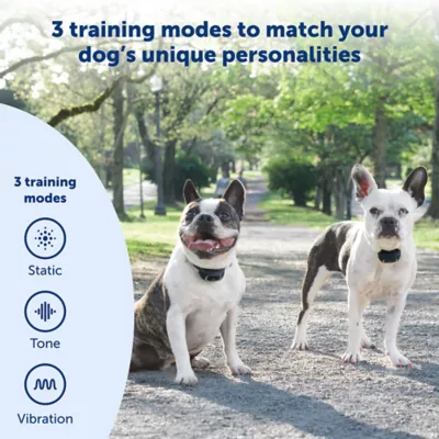 Product PetSafe Add-A-Dog Reciever Collar Lite