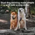 PetSafe® Add-A-Dog Reciever Collar Lite image thumbnail 4