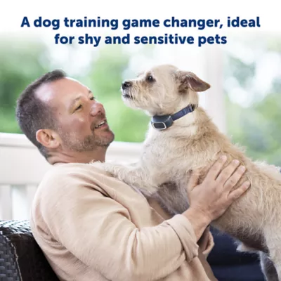 Product PetSafe Add-A-Dog Reciever Collar Lite