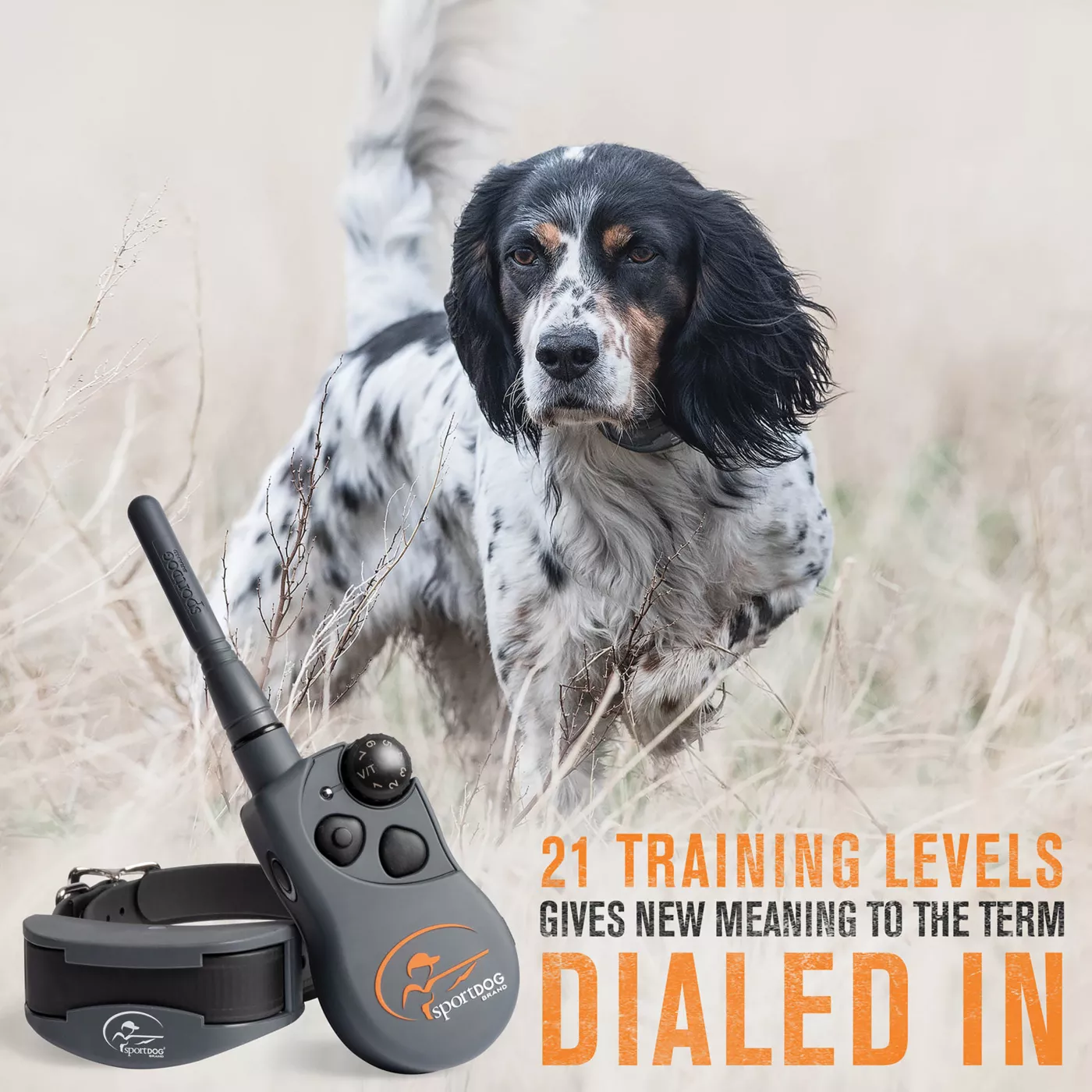Sportdog x series sales