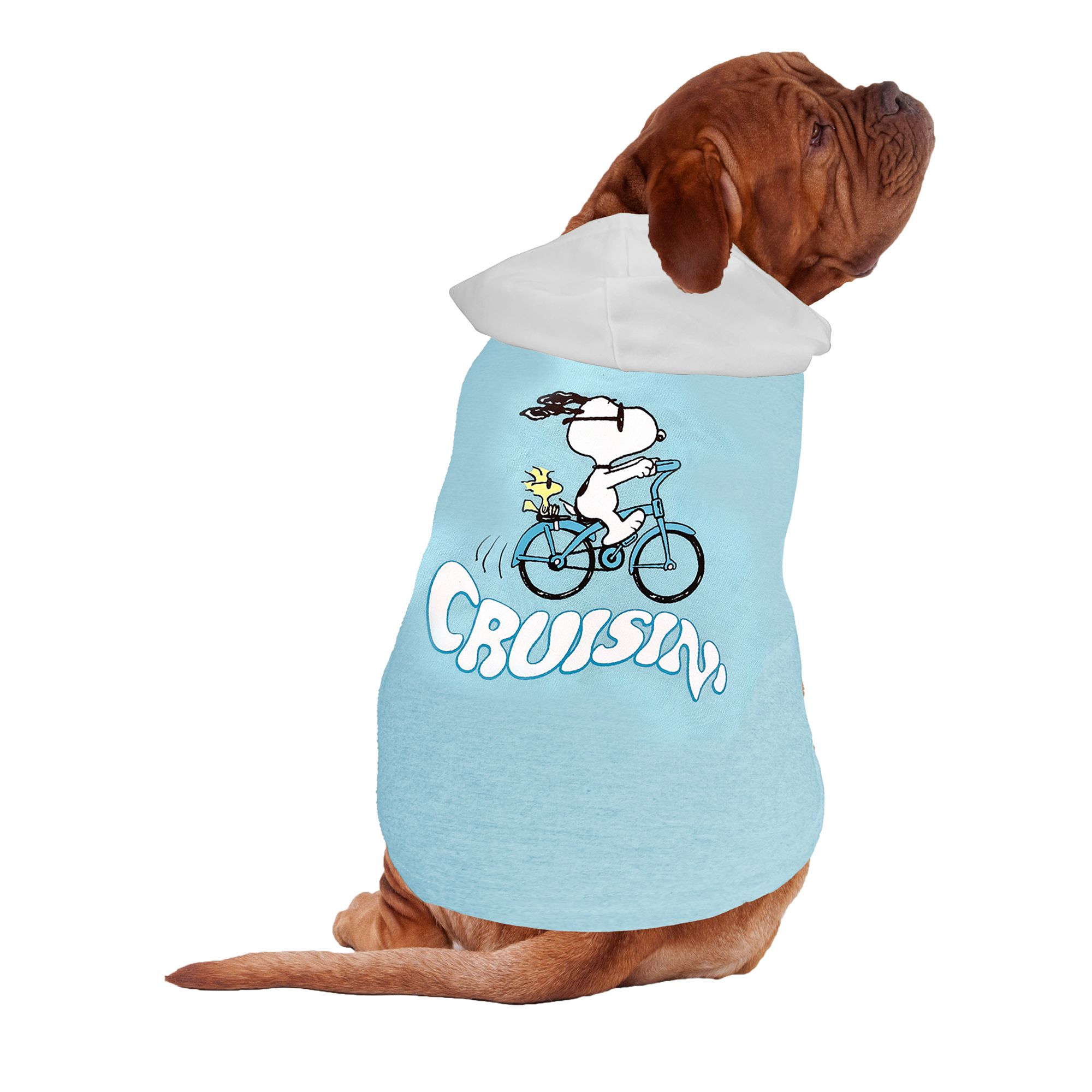 Snoopy and Woodstock Cruisin Dog Hoodie