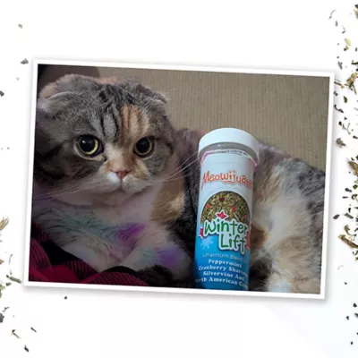 Product Meowijuana® Winter Lift - Peppermint, Cranberry, Silvervine, and Catnip Blend