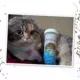 Product Meowijuana® Winter Lift - Peppermint, Cranberry, Silvervine, and Catnip Blend