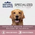 Natural Balance Specialized Nutrition Sensitive Skin & Stomach Adult Wet Dog Food - Salmon & Rice image thumbnail 6