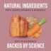 Natural Balance Specialized Nutrition Sensitive Skin & Stomach Adult Wet Dog Food - Salmon & Rice image thumbnail 8