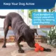 Product PetSafe Sportsmen Squeak 'n Treat Troog Dog Toy
