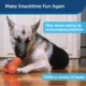 Product PetSafe Sportsmen Squeak 'n Treat Troog Dog Toy