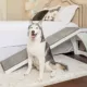 Product PetSafe CozyUp Bed Ramp - White