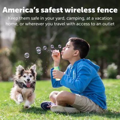 Petsafe wireless fence petsmart best sale