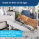 Product  PetSafe CozyUp Steps & Ramp Combo