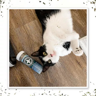 Product Meowijuana® Frost Catnip Blend