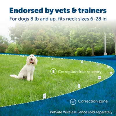 Petsmart wireless collar best sale