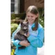 Product  PetSafe In-Ground Cat Fence System