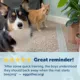 Product PetSafe ScatMat Indoor Pet Training Mat