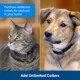 Product PetSafe Pawz Away Extra Receiver Collar
