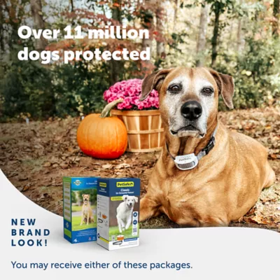 Petsmart pet containment system best sale