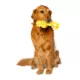 Product Woodstock Plush Crinkle Squeaker Dog Toy