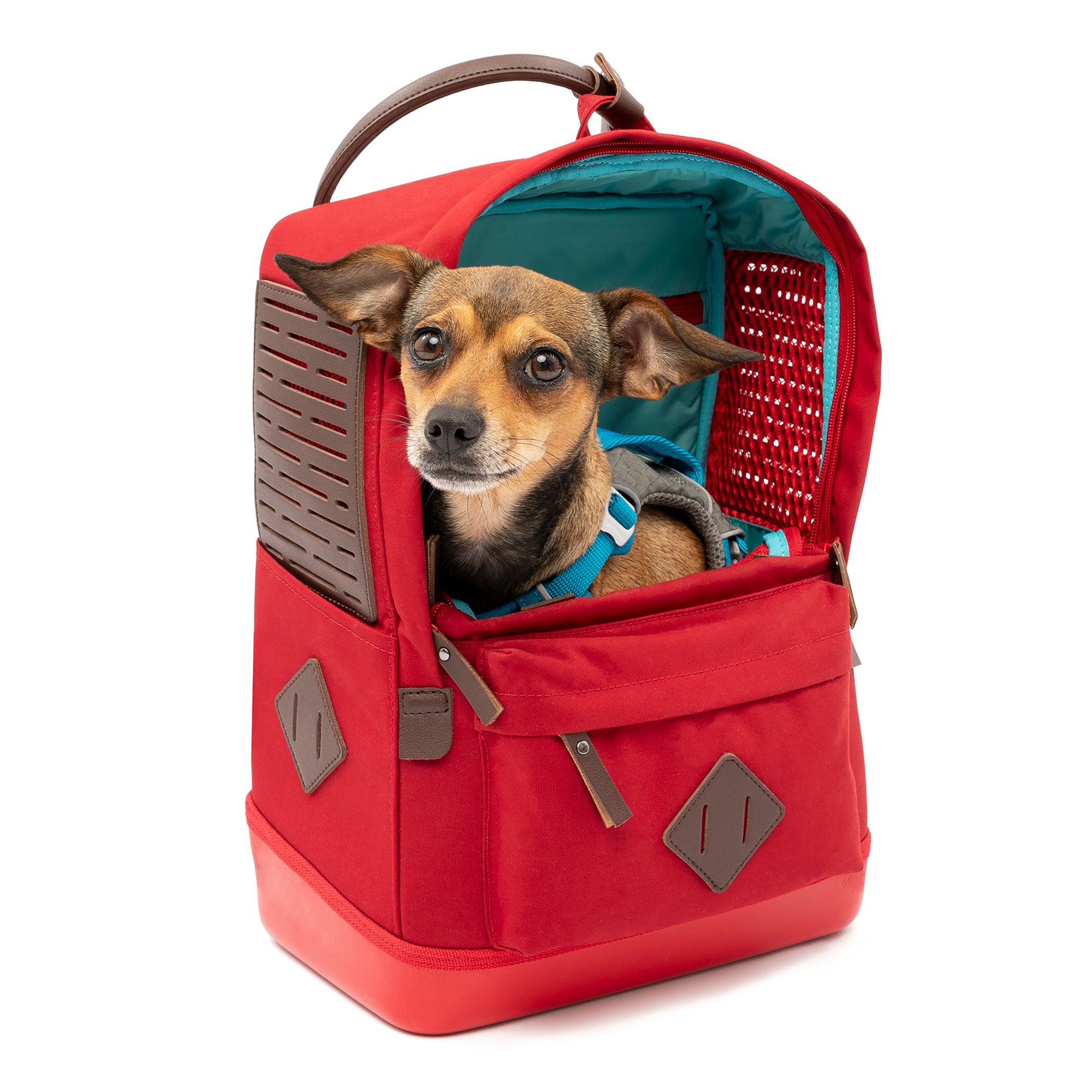 Dog Carriers Backpacks Travel Bags Totes PetSmart