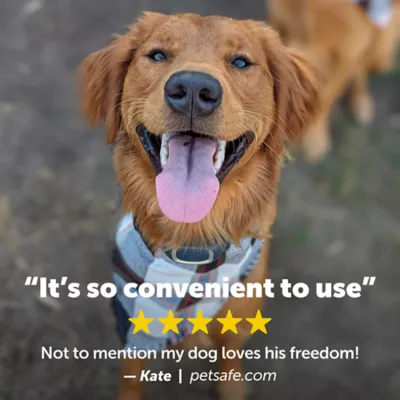 Product PetSafe Remote Trainer - Add A Dog Reciever Collar