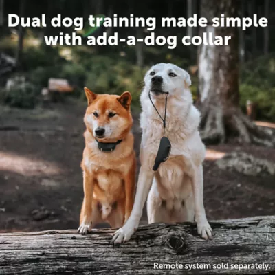 Product PetSafe Remote Trainer - Add A Dog Reciever Collar