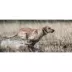 SportDOG® Brand WetlandHunter 1825X Remote Trainer image thumbnail 4