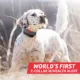 Product SportDOG Brand FieldSentinel 825 - Remote Trainer
