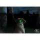 Product SportDOG Brand Locator Beacon