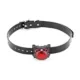 Product SportDOG Brand Locator Beacon