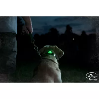 Product SportDOG® Brand Locator Beacon