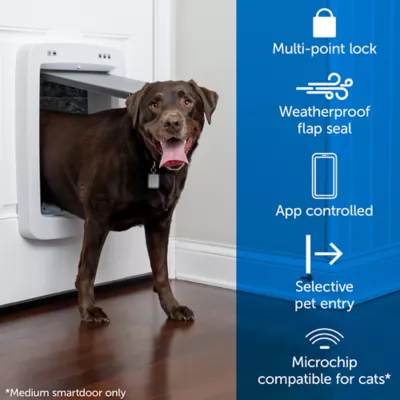 Phone controlled dog door best sale