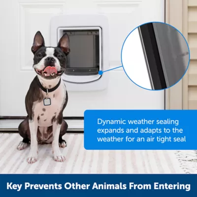 Petsmart dog door best sale