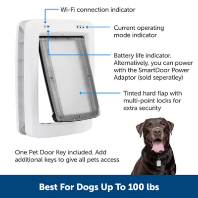 Pet door electronic best sale